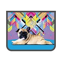 Папка д/тетрадей А5 Щенок-бульдок ПМ-А5-229 Пчелка